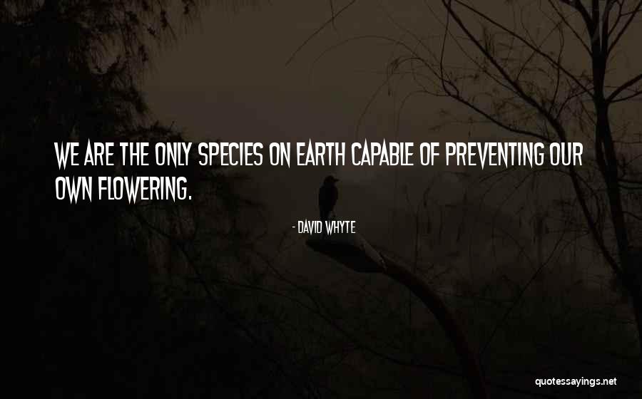David Whyte Quotes 724547 David Whyte Quotes 724547