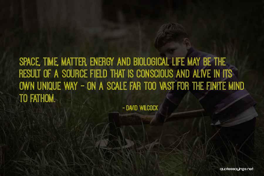 David Wilcock Quotes 1227138