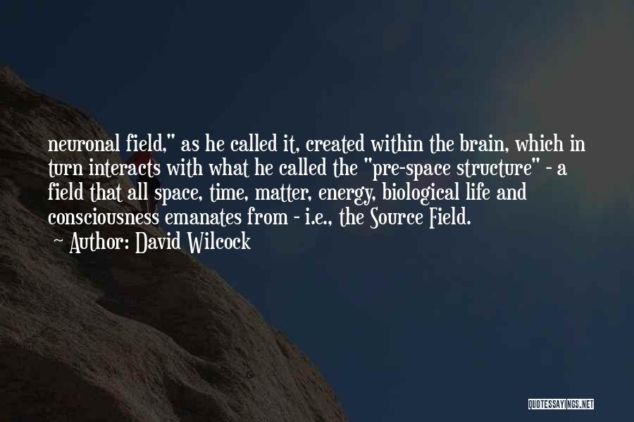 David Wilcock Quotes 897887
