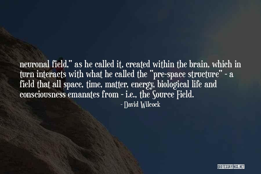 David Wilcock Quotes 897887 David Wilcock Quotes 897887