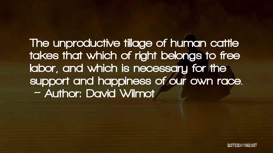 David Wilmot Quotes 586898