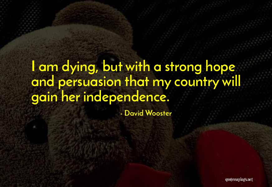 David Wooster Quotes 1261548