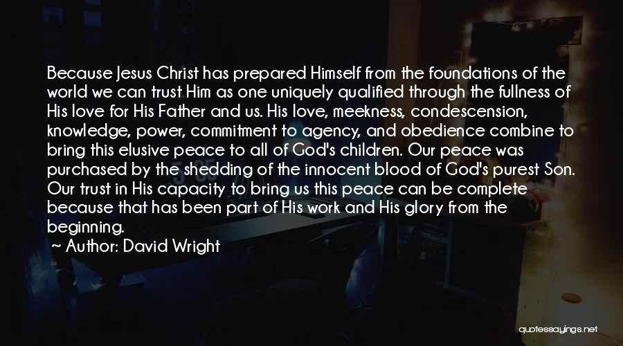 David Wright Quotes 129627