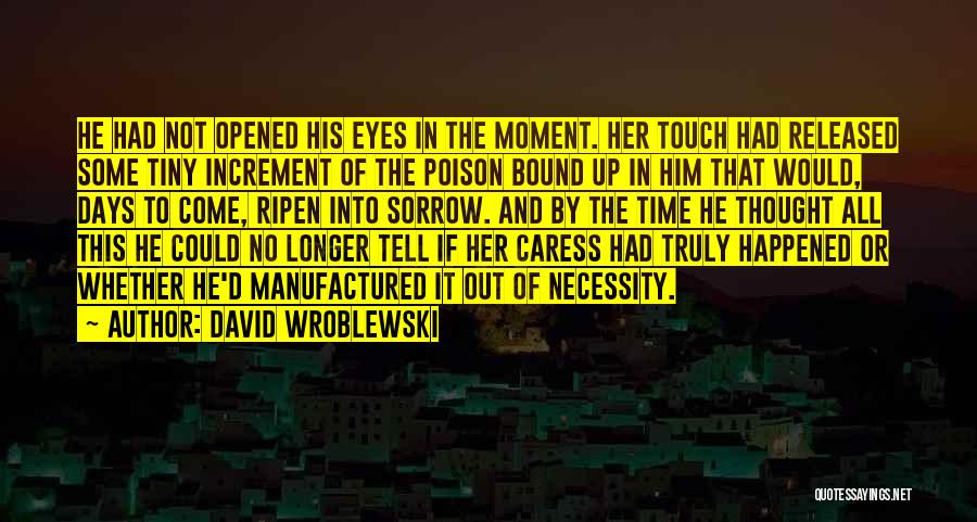 David Wroblewski Quotes 392515