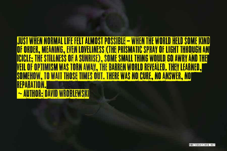 David Wroblewski Quotes 536667