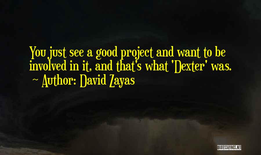 David Zayas Quotes 2206526