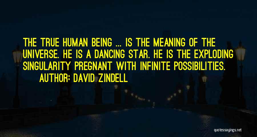 David Zindell Quotes 1342559
