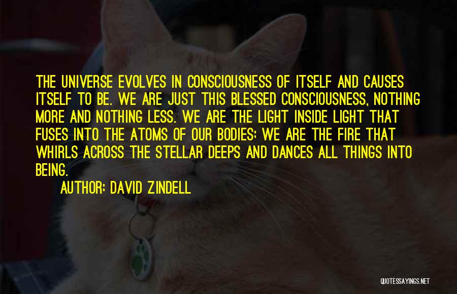 David Zindell Quotes 614213