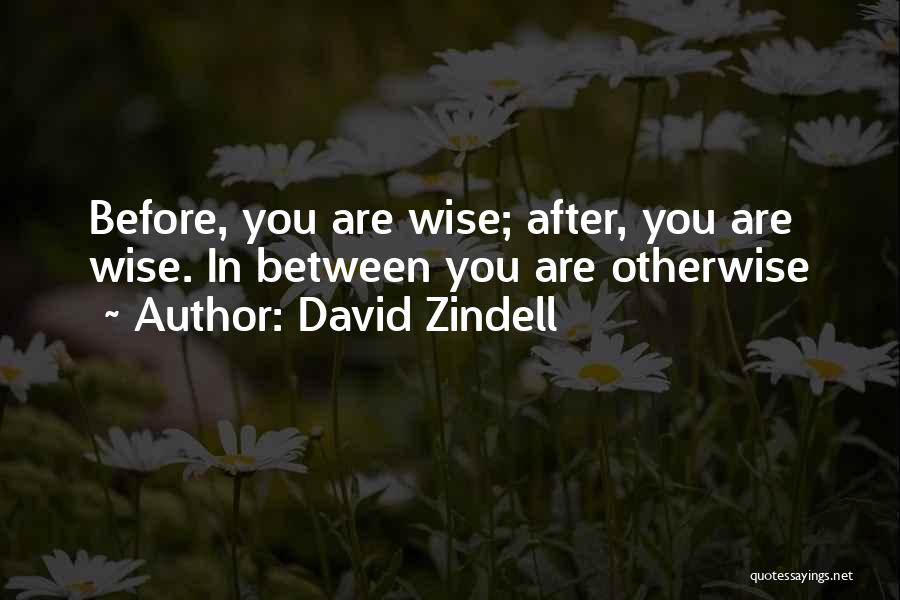 David Zindell Quotes 863914