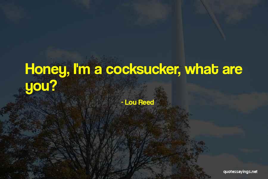 Davidovac Selo Quotes By Lou Reed Davidovac Selo Quotes By Lou Reed