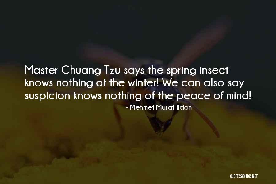 Davien Witherspoon Quotes By Mehmet Murat Ildan Davien Witherspoon Quotes By Mehmet Murat Ildan