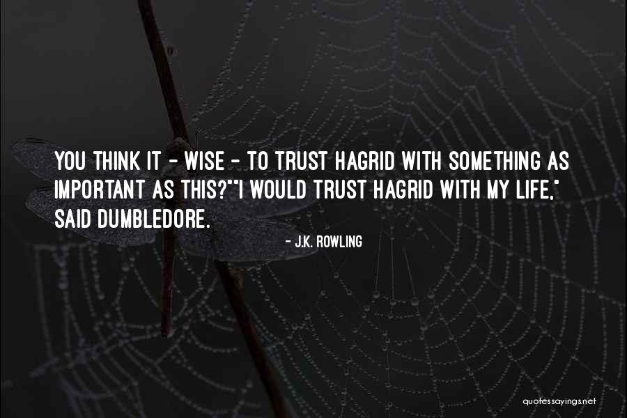 Davis Funds 2020 Quotes By J.K. Rowling Davis Funds 2020 Quotes By J.K. Rowling