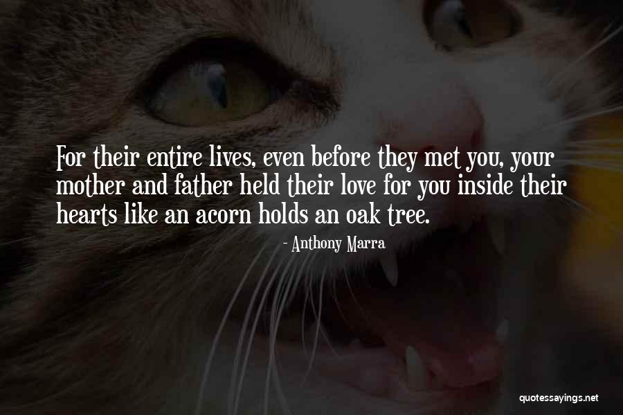 Davon House Quotes By Anthony Marra Davon House Quotes By Anthony Marra
