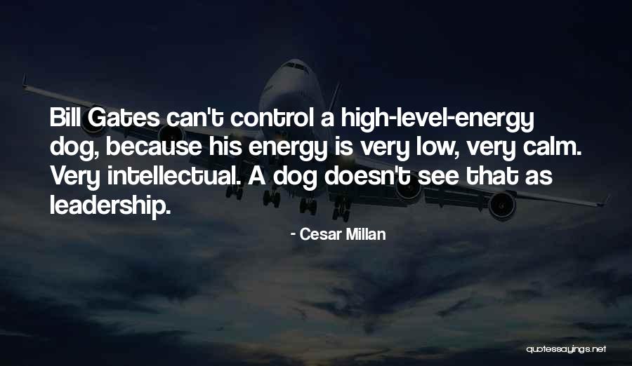 Davontae Smith Quotes By Cesar Millan Davontae Smith Quotes By Cesar Millan