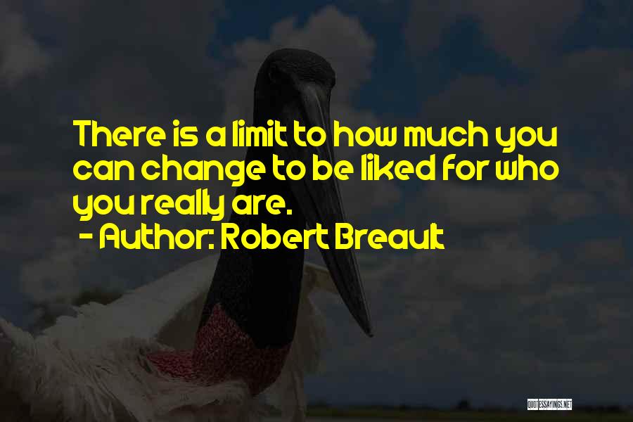 Davoodi Mohajer Quotes By Robert Breault