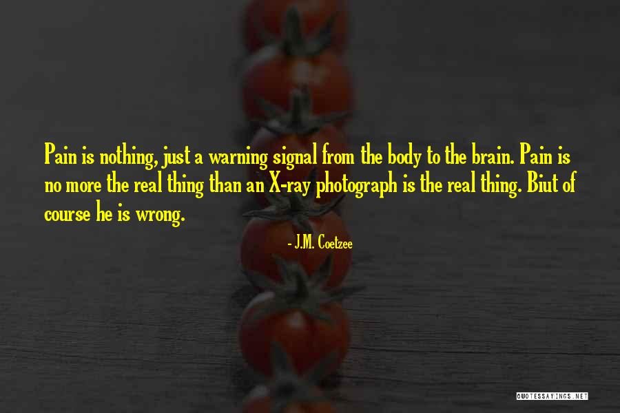 Davorin Drozg Quotes By J.M. Coetzee Davorin Drozg Quotes By J.M. Coetzee