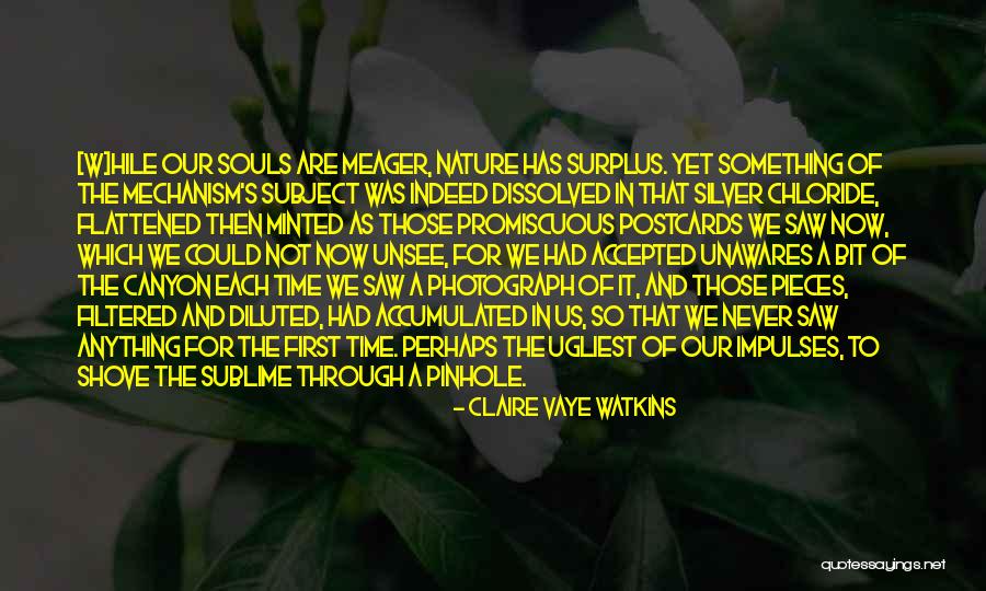 Davydov Splitting Quotes By Claire Vaye Watkins Davydov Splitting Quotes By Claire Vaye Watkins