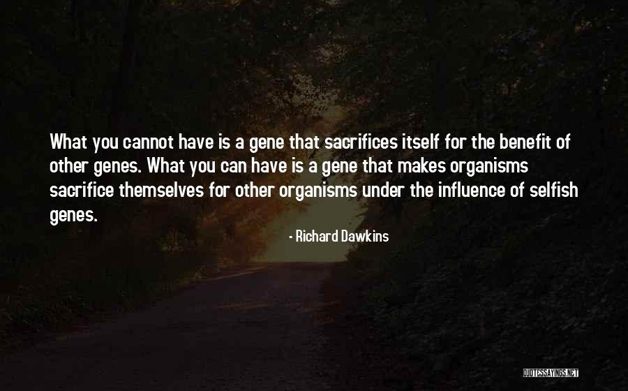 Dawkins Richard Quotes By Richard Dawkins