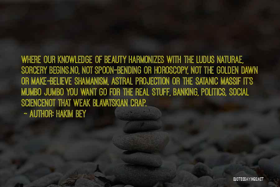 Dawn Mass Quotes By Hakim Bey