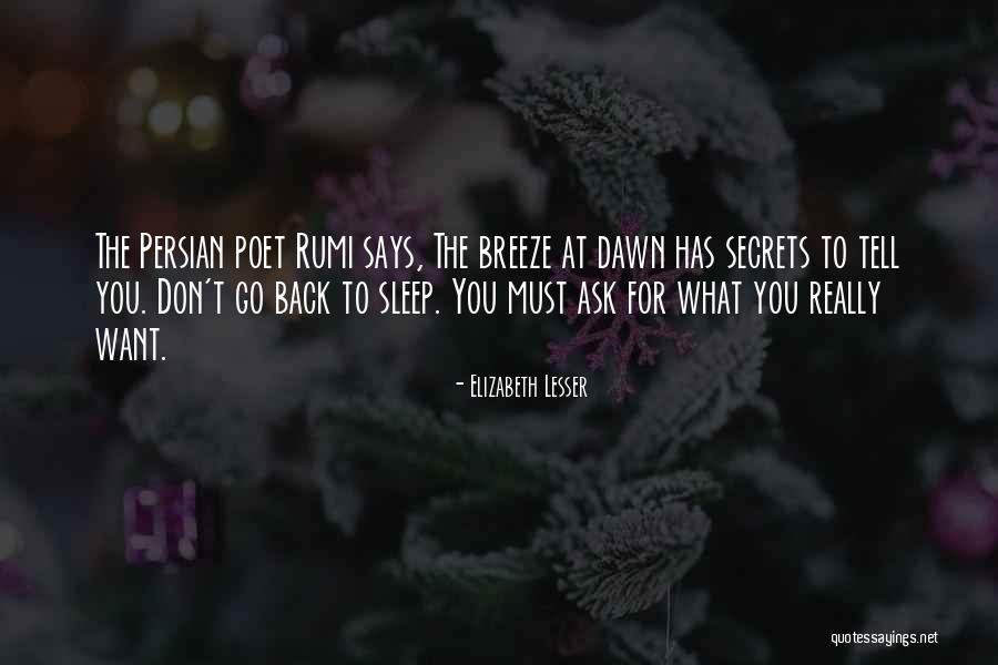 Dawn Rumi Quotes By Elizabeth Lesser Dawn Rumi Quotes By Elizabeth Lesser