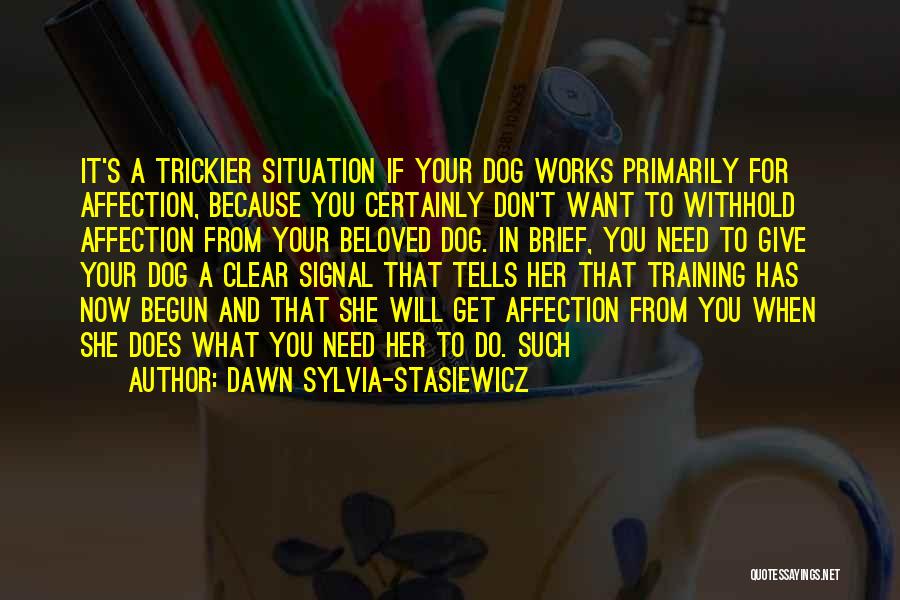 Dawn Sylvia-Stasiewicz Quotes 1731413