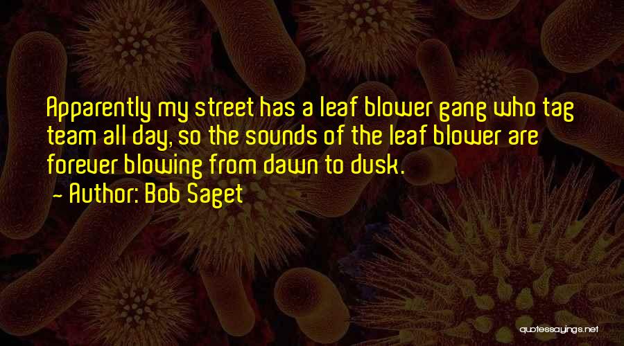 Dawn Till Dusk Quotes By Bob Saget