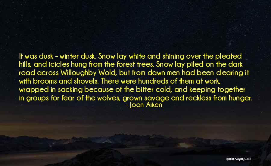 Dawn Till Dusk Quotes By Joan Aiken