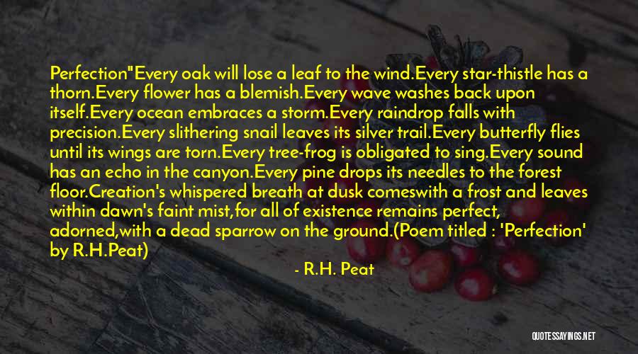 Dawn Till Dusk Quotes By R.H. Peat