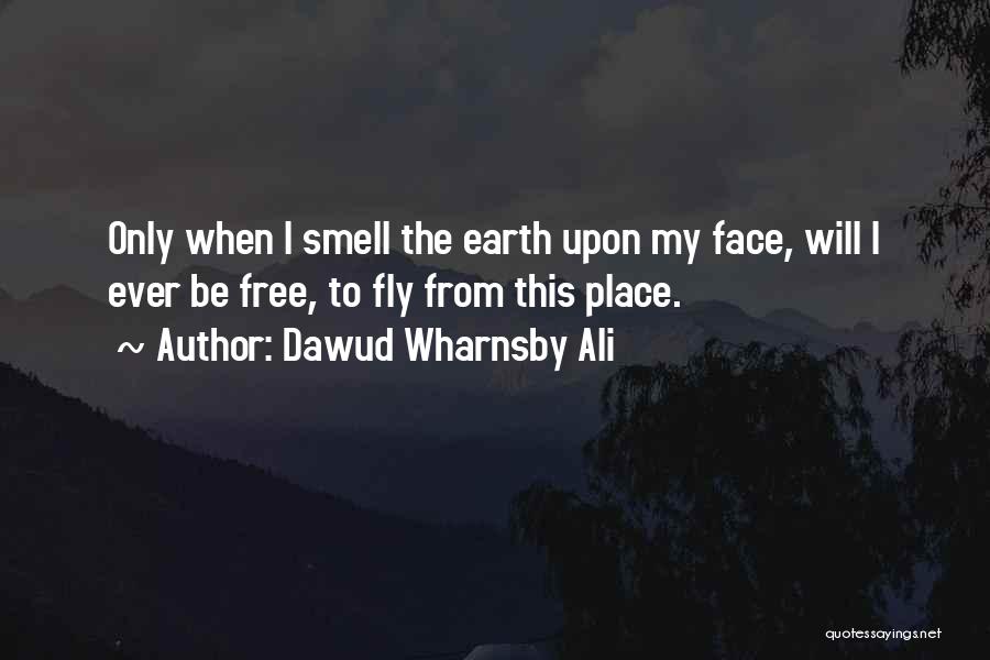 Dawud Wharnsby Ali Quotes 1531858