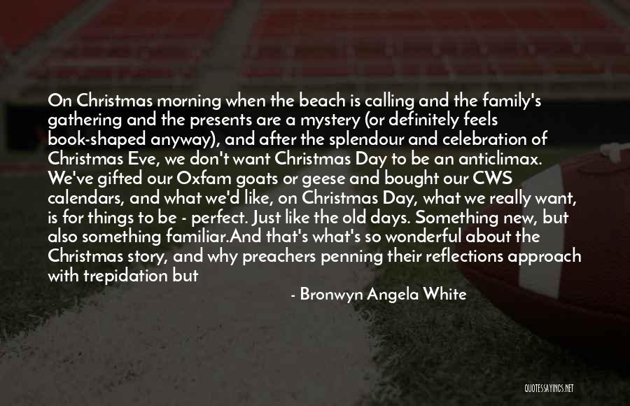 Day After Christmas Quotes By Bronwyn Angela White