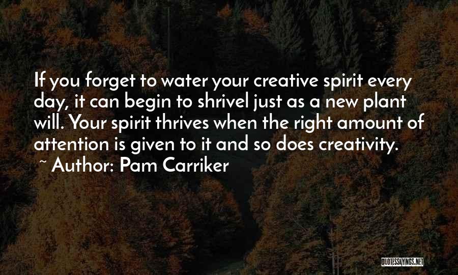 Day Begin Quotes By Pam Carriker