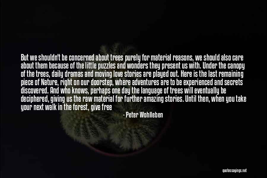 Day Care Quotes By Peter Wohlleben Day Care Quotes By Peter Wohlleben
