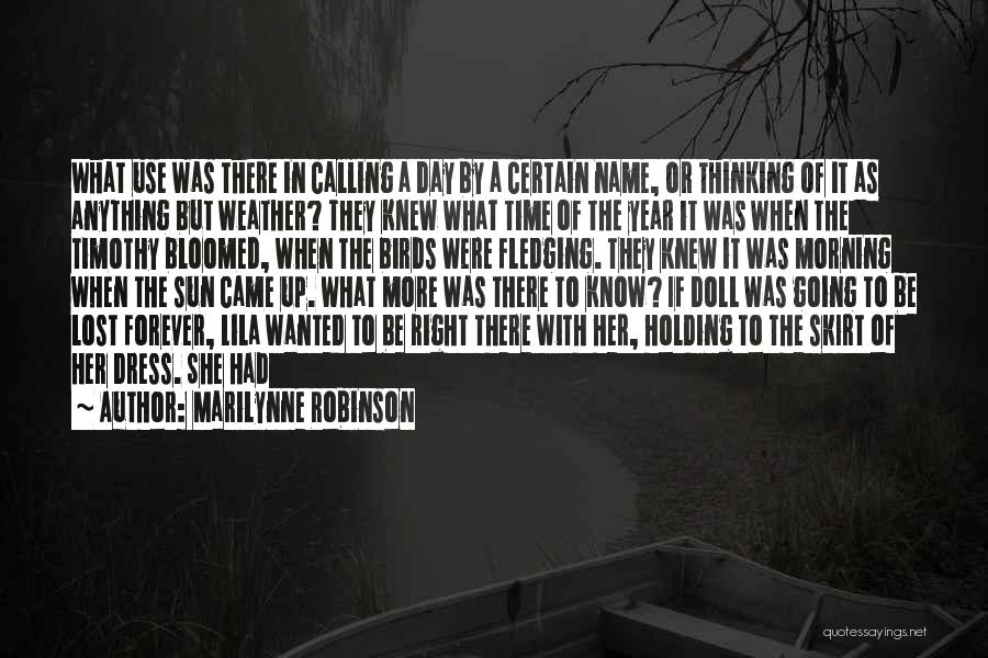 Day Morning Quotes By Marilynne Robinson