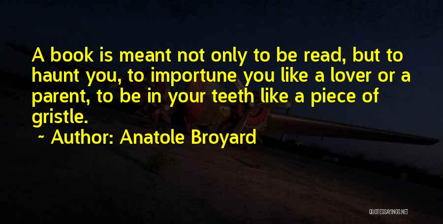 Day Of The Dead Sayings And Quotes By Anatole Broyard