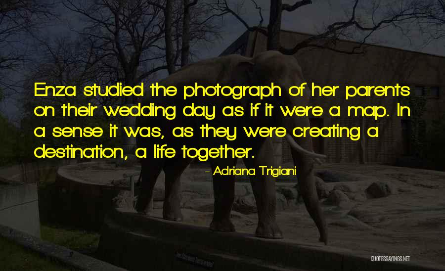 Day Of The Wedding Quotes By Adriana Trigiani Day Of The Wedding Quotes By Adriana Trigiani