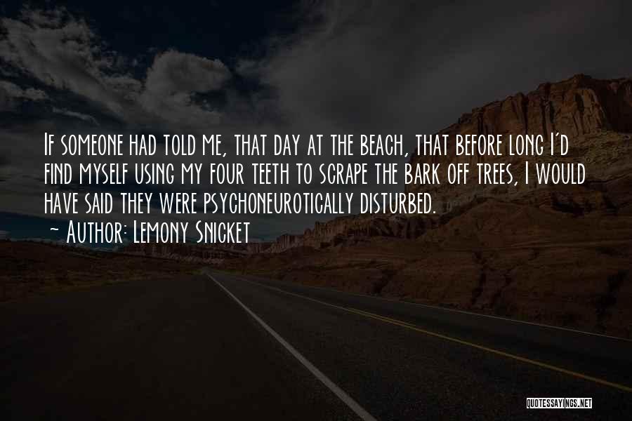 Day Off At The Beach Quotes By Lemony Snicket