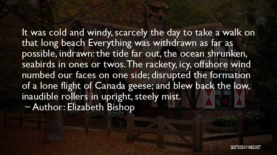 Day On The Beach Quotes By Elizabeth Bishop