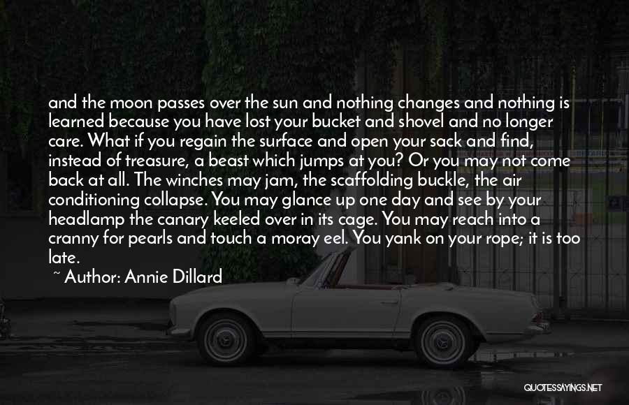 Day Passes Quotes By Annie Dillard