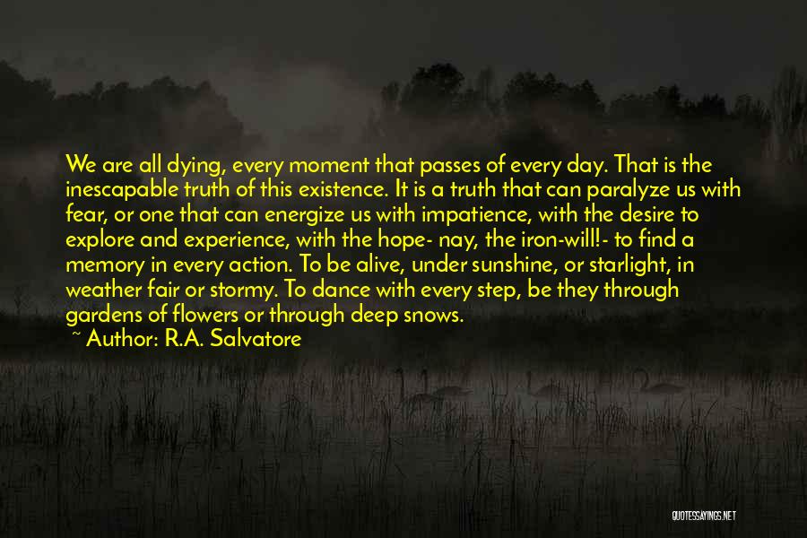 Day Passes Quotes By R.A. Salvatore