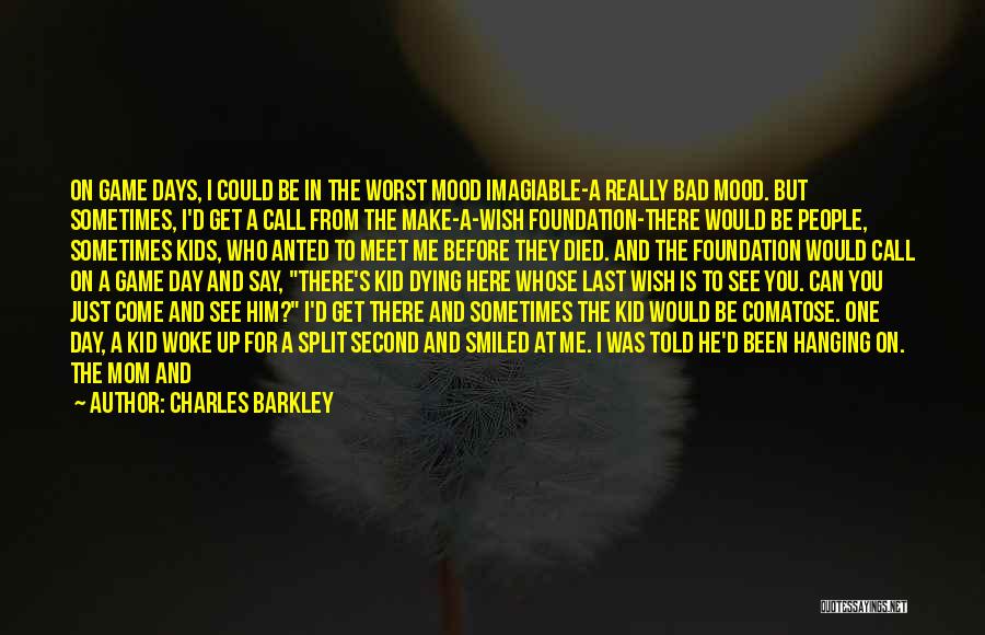 Day To Day Inspirational Quotes By Charles Barkley