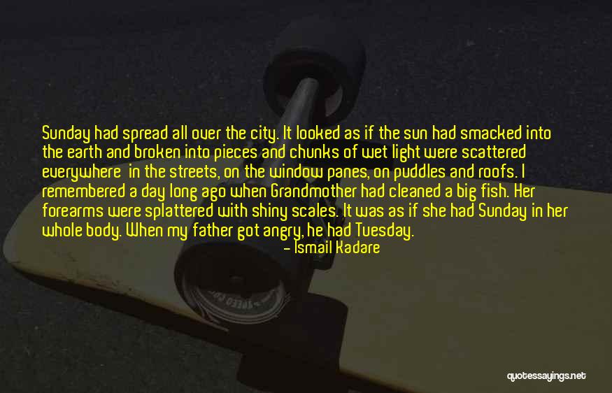 Day Tuesday Quotes By Ismail Kadare Day Tuesday Quotes By Ismail Kadare