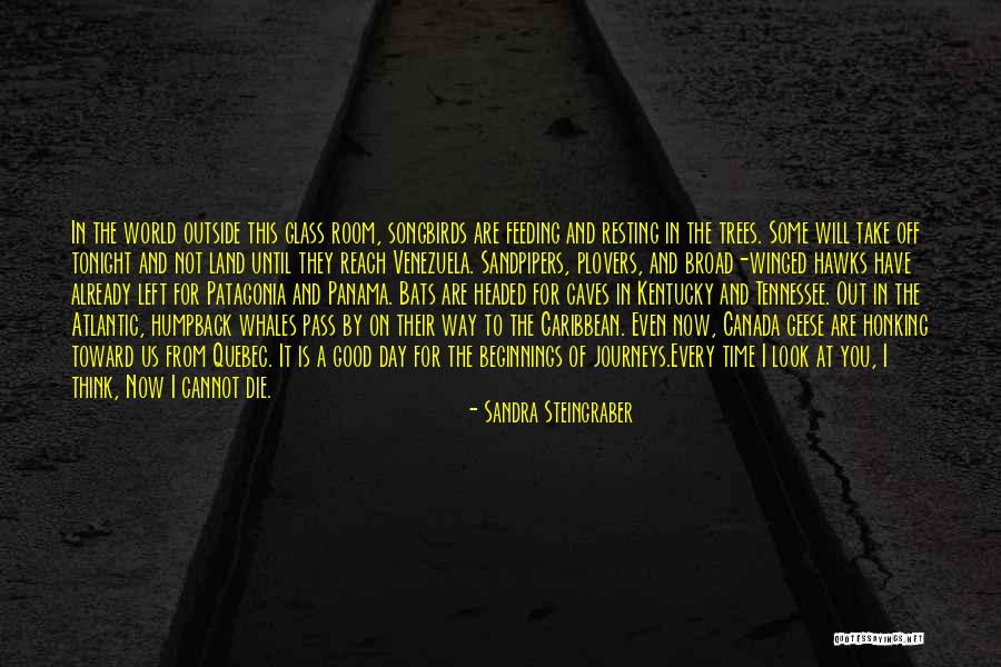 Day Will Pass Quotes By Sandra Steingraber Day Will Pass Quotes By Sandra Steingraber