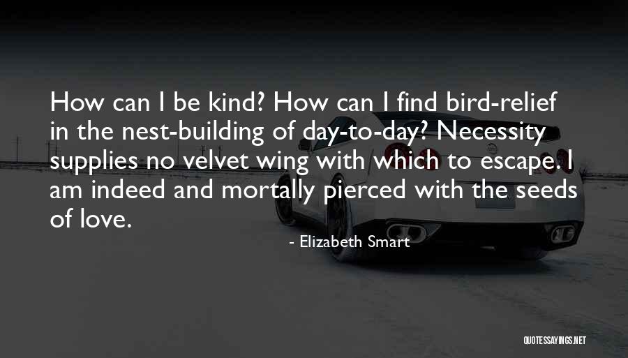 Day Wing Quotes By Elizabeth Smart