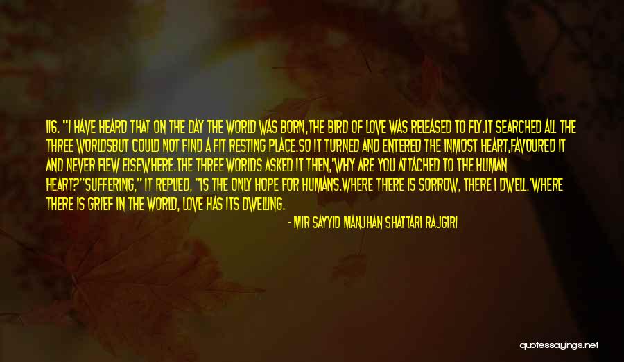 Day You Are Born Quotes By Mir Sayyid Manjhan Shattari Rajgiri Day You Are Born Quotes By Mir Sayyid Manjhan Shattari Rajgiri