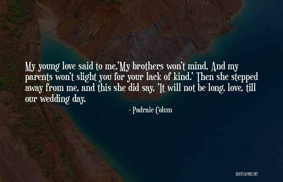 Day You Said You Love Me Quotes By Padraic Colum