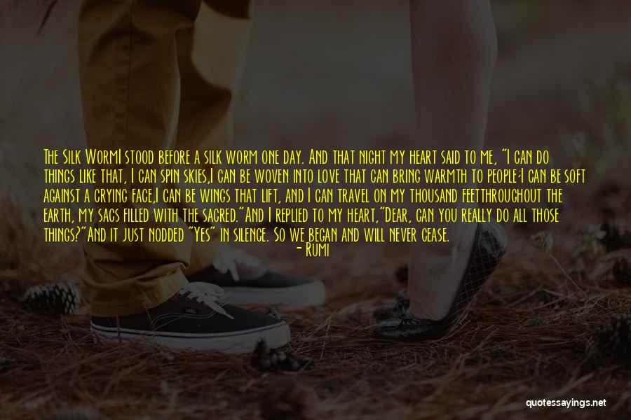 Day You Said You Love Me Quotes By Rumi