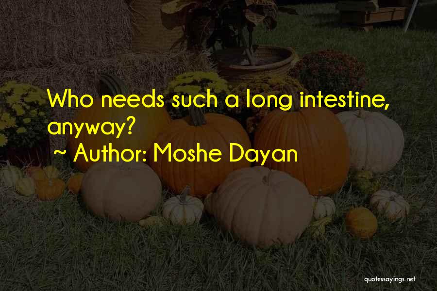 Dayan Quotes By Moshe Dayan