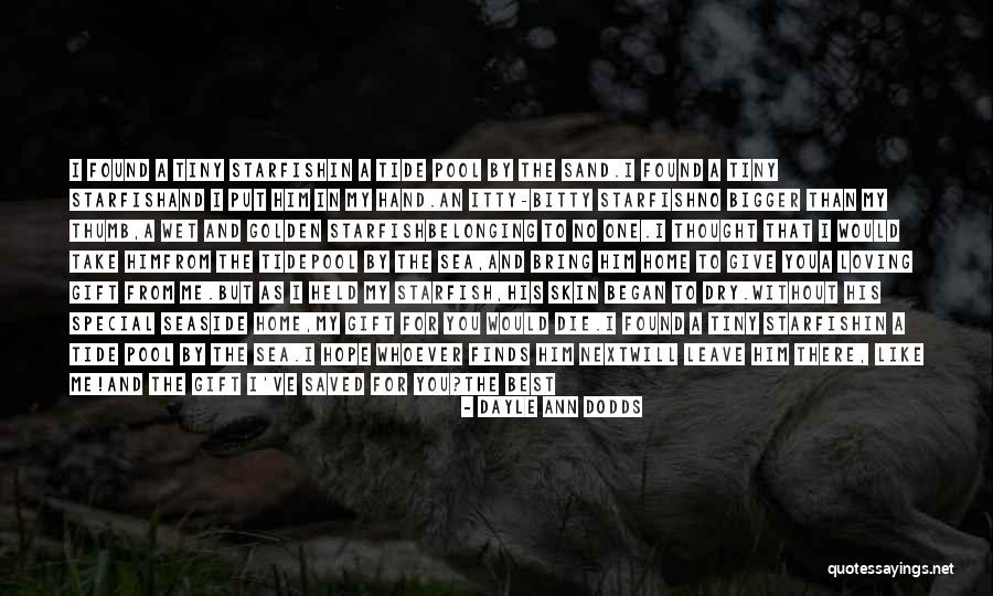 Dayle Ann Dodds Quotes 1024090 Dayle Ann Dodds Quotes 1024090