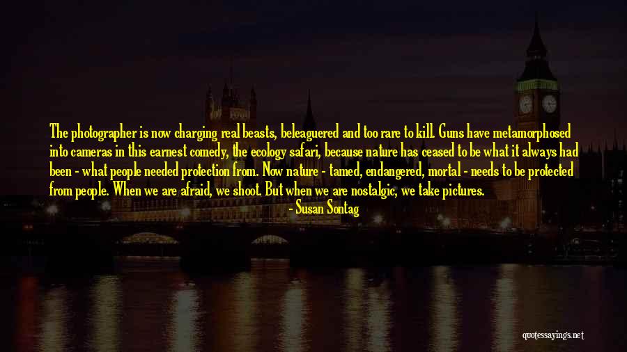 Daylight And Friendship Quotes By Susan Sontag Daylight And Friendship Quotes By Susan Sontag