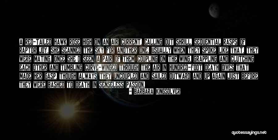 Daylighter Off Road Quotes By Barbara Kingsolver Daylighter Off Road Quotes By Barbara Kingsolver